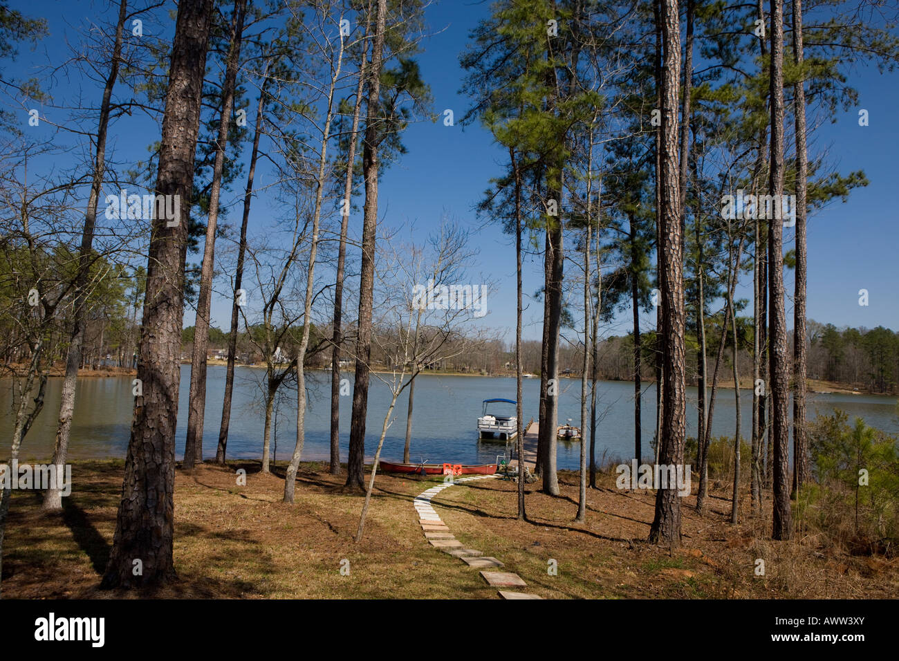 Un sentiero conduce attraverso gli alberi di pino in un dock sul Lago di Greenwood Cross Hill Carolina del Sud degli Stati Uniti d'America Foto Stock