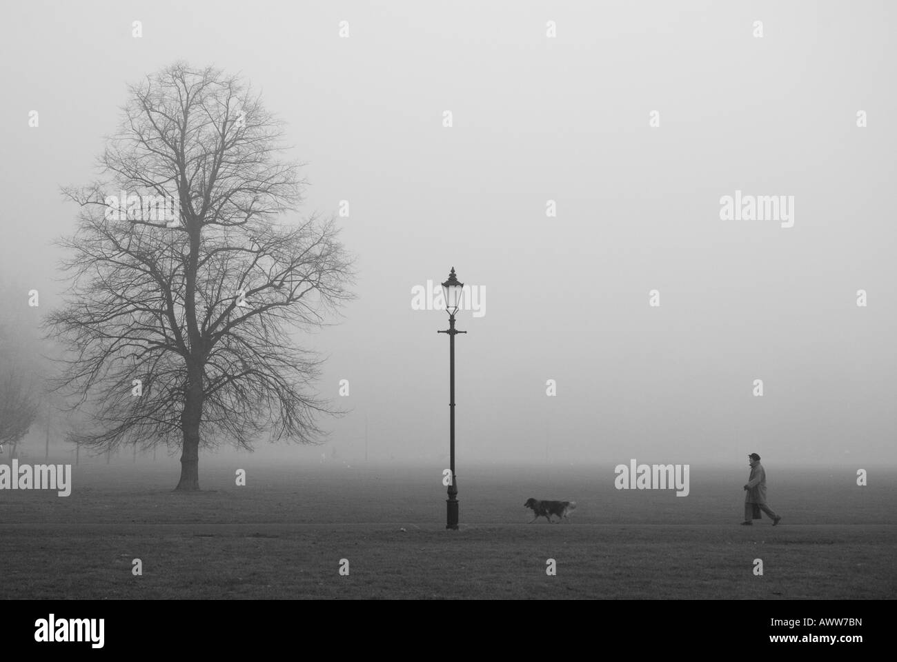 Una donna cammina il suo cane nella nebbia in una mattinata invernale in Clapham Common, Londra, Regno Unito. Foto Stock