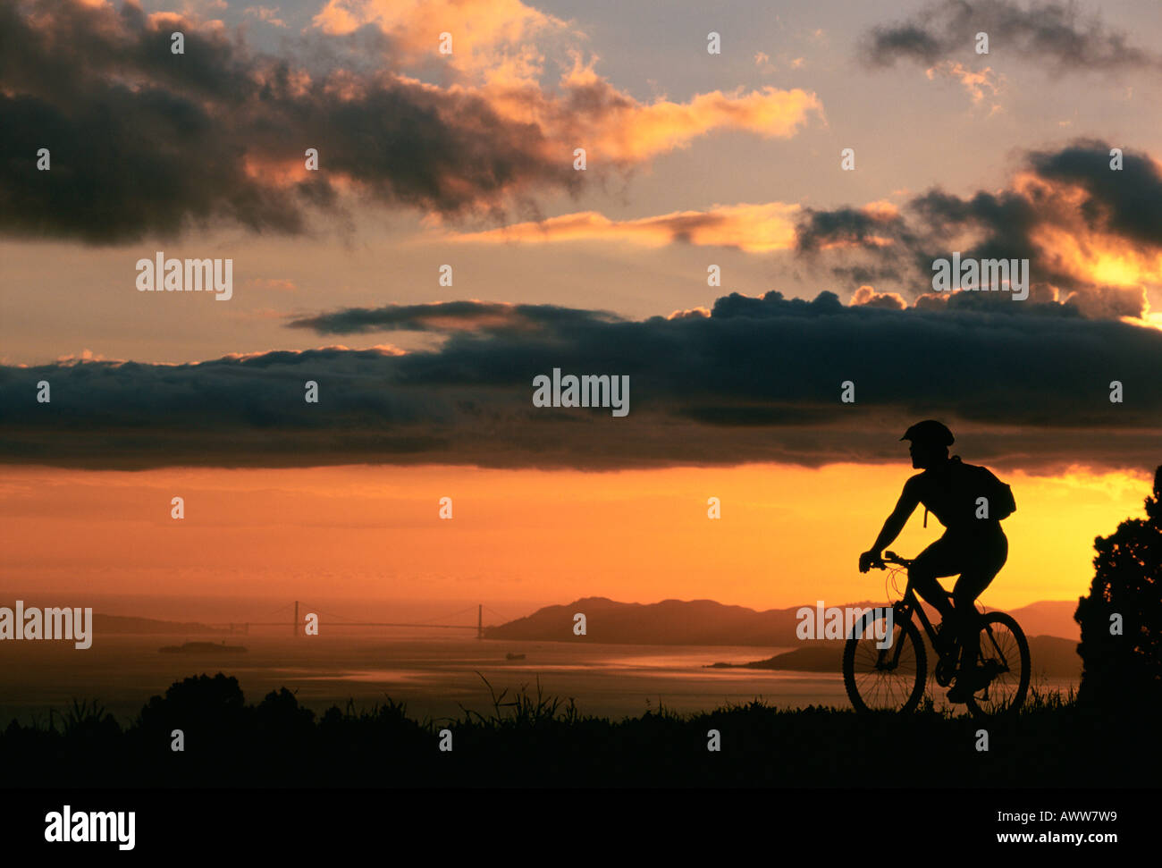 Mountain bike sul sentiero sul mare con la Baia di San Francisco in background regionale Tilden Park California negli Stati Uniti Foto Stock