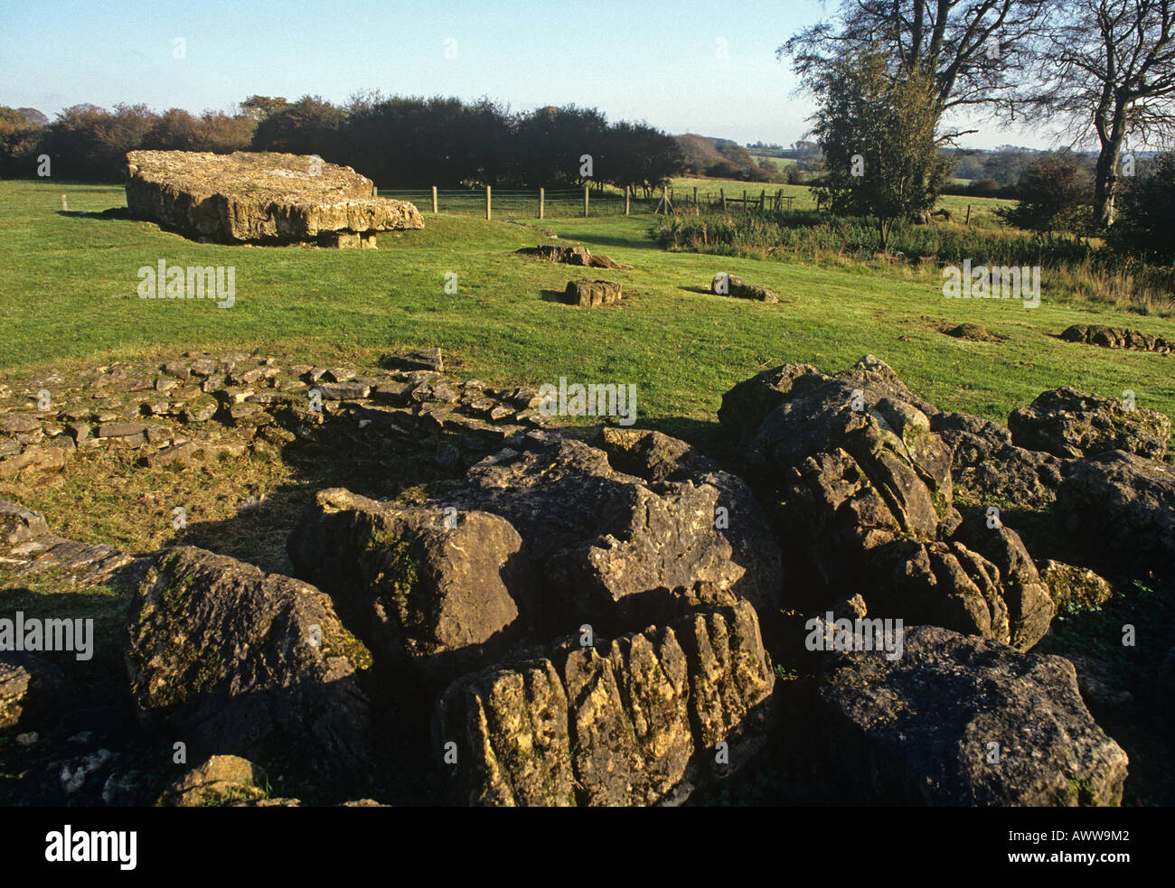 Tinkinswood sepoltura camera galles Foto Stock