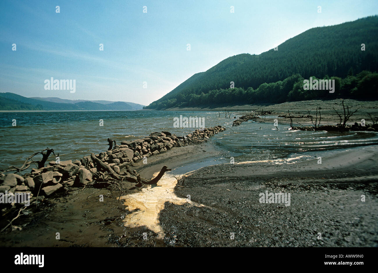 Lake Vyrnwy Galles Foto Stock