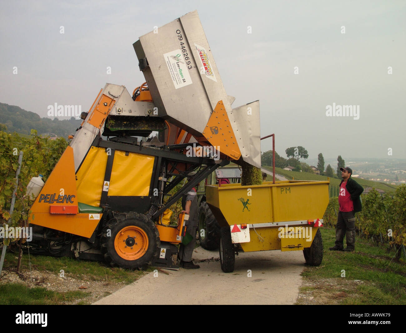 AJD47128, Svizzera, Europa, Vaud, Tartegnin, La Cote Foto Stock