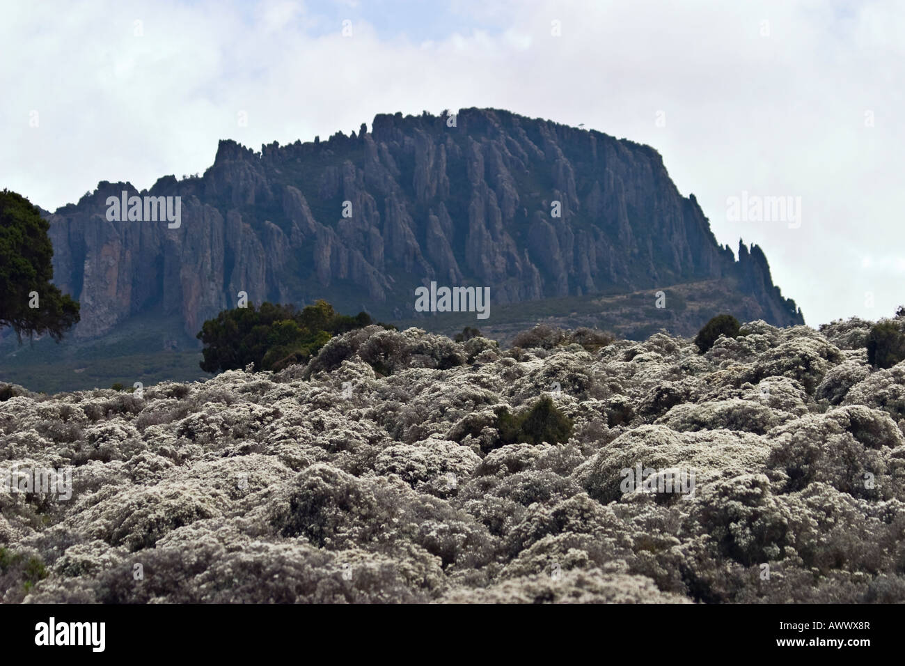 Bale Mountains National Park, Etiopia, Africa Foto Stock