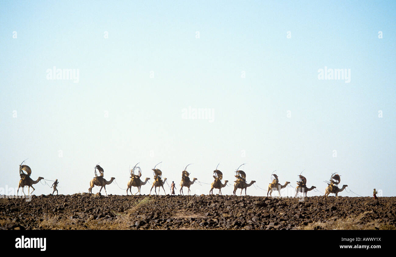 Un villaggio del popolo Gabbra nel nord del Kenya in movimento nel duro stoney Chalbi Desert Foto Stock