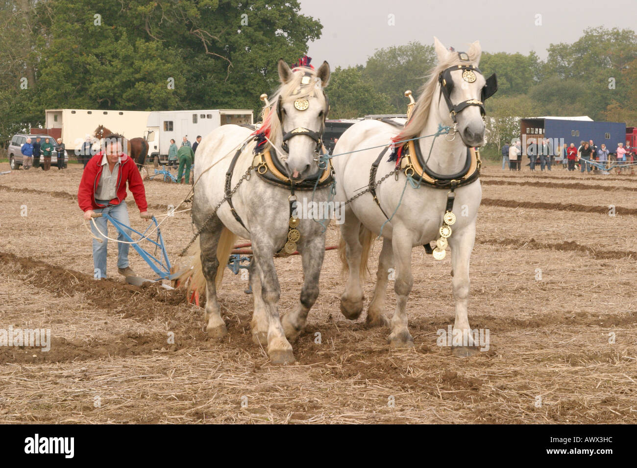 La cinquantaseiesima nazionale britannico di campionati di aratura, Loseley Park, Guildford, Surrey, Ottobre 2006 Foto Stock