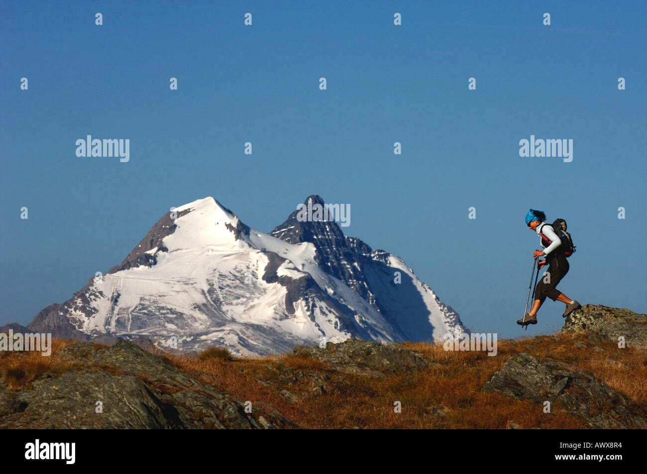 Wanderer nel Parco Nazionale della Vanoise, Grand Motte e Grand Casse sullo sfondo le montagne higest della nazionale di p Foto Stock