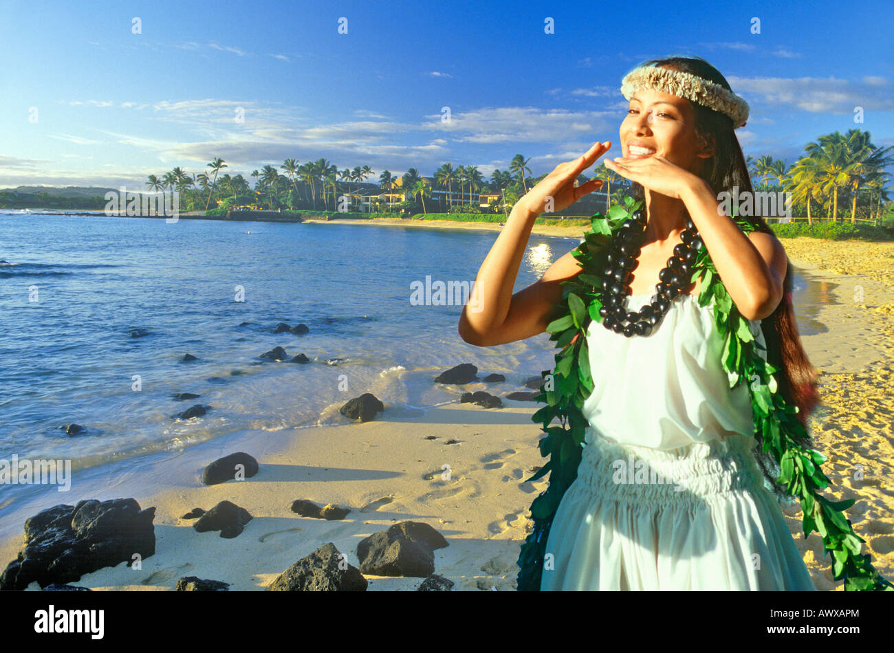 Immagine composita di Hawaiian ballerina nativa e la fascia costiera in Hawaii Foto Stock