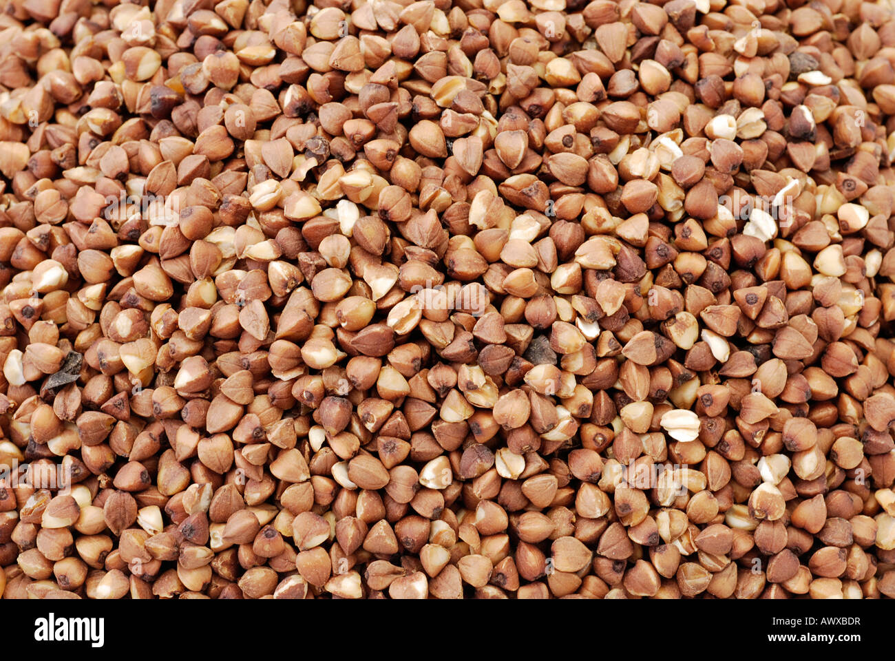 Close-up (dettaglio) di grano saraceno Foto Stock