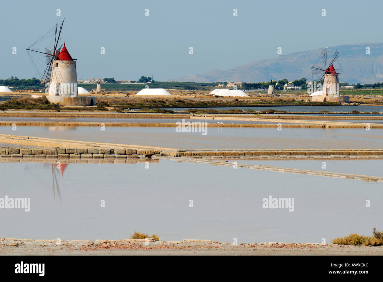 Mulini a vento e campi di salina di fronte l'isola di Mozia Sicilia Italia Foto Stock