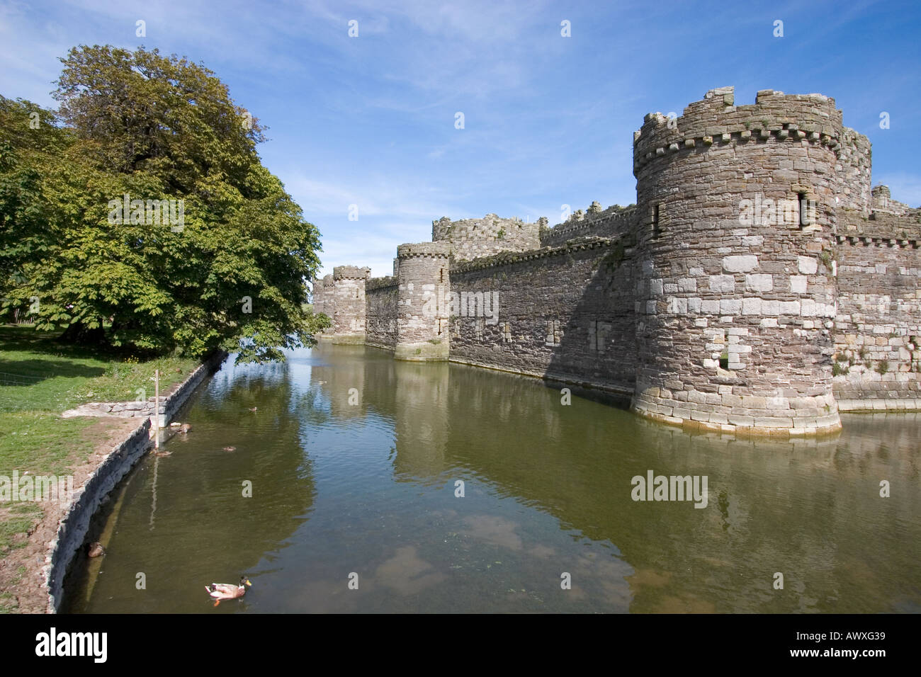 A sud ovest della cortina esterna parete e fossato Beaumaris Castle Isola di Anglesey North Wales Foto Stock