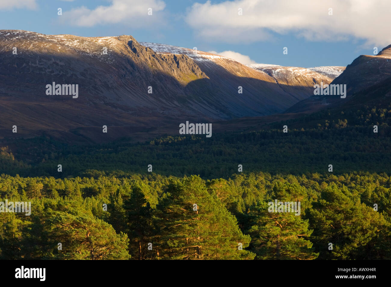 Il Lairig Ghru pass visto attraverso la foresta Rothiemurchus nei Cairngorms, Scozia Foto Stock