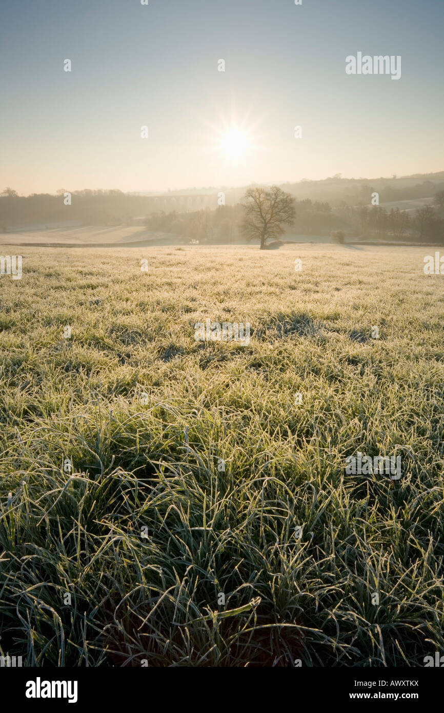 Frosty mattina vicino a Pensford Somerset Inghilterra Foto Stock