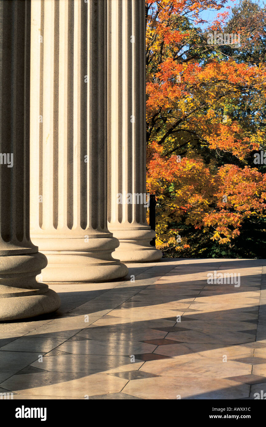 Washington, Stati Uniti d'America, U.S. Dipartimento del Tesoro, edificio in stile greco colonne ioniche, gli alberi con i colori dell'autunno Foto Stock