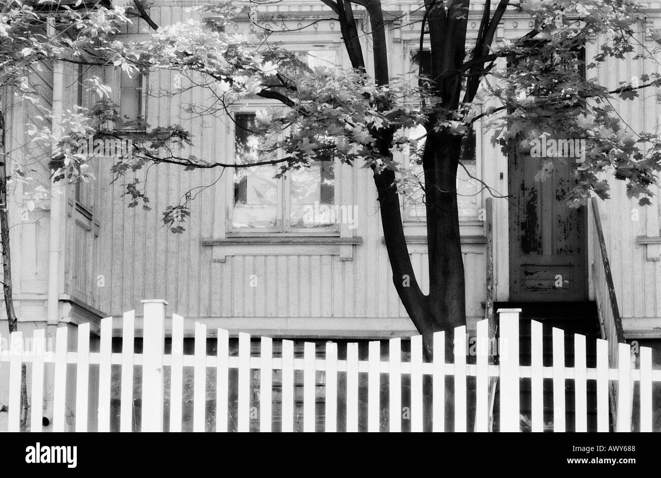 Foto in bianco e nero di parte del vecchio, fatiscente, villa in legno con Picket Fence e acero. Foto Stock