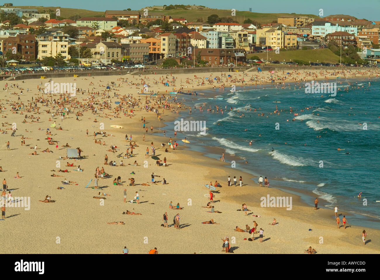 La spiaggia di Bondi Sydney Foto Stock