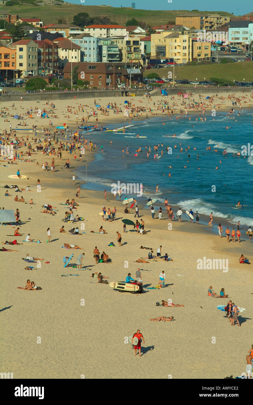 La spiaggia di Bondi Sydney Foto Stock
