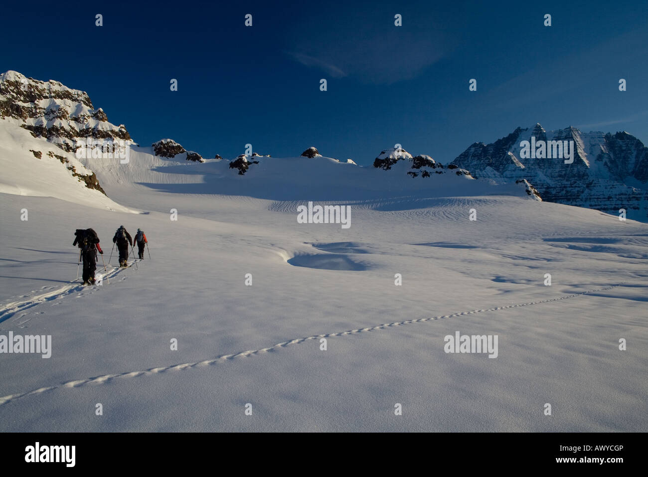 Tre gli alpinisti evitare crepacci quando lo sci alpinismo su un ghiacciaio della Groenlandia nel sole di mezzanotte. Foto Stock