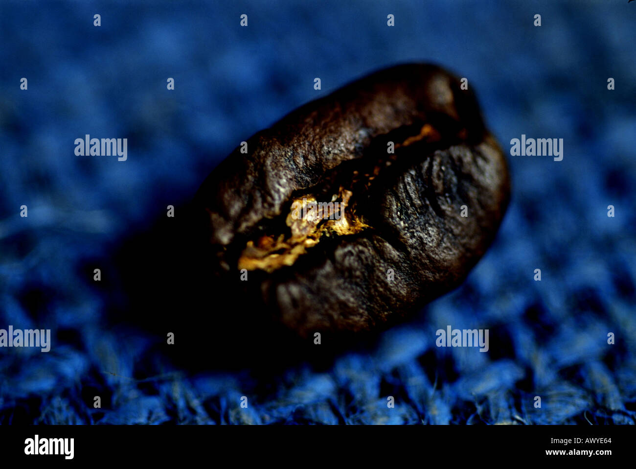 Chicco di caffè raffigurato su un blu sullo sfondo di Hesse Foto Stock