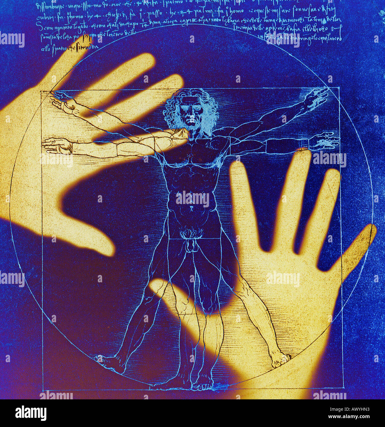 Due mani umane su un poster dell'uomo vitruviano schizzo di Leonardo da Vinci Foto Stock
