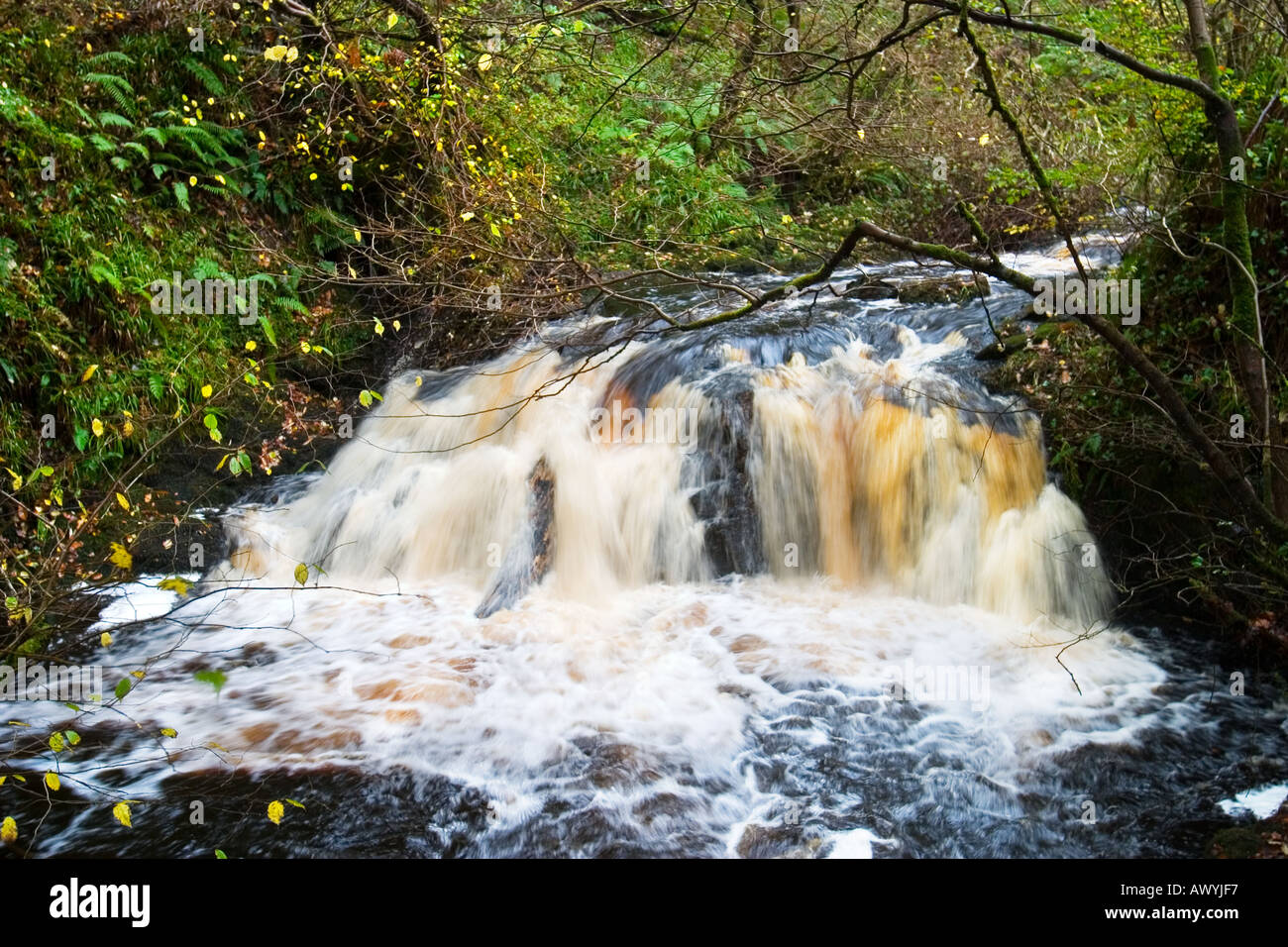 Cascata in Glenariff Forest Park Foto Stock