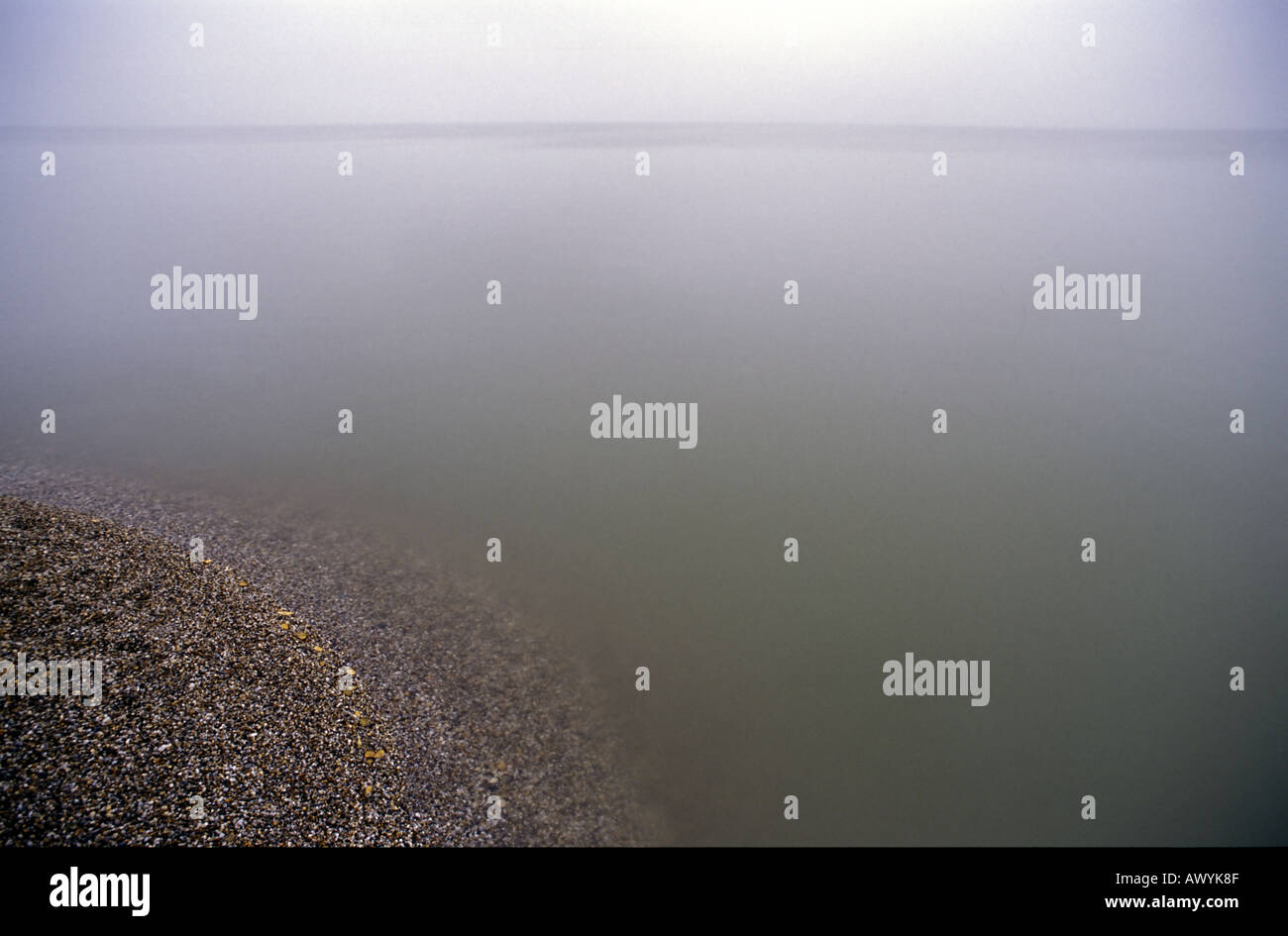Riva del lago calmo nella nebbia Neusiedlersee Burgenland Austria orientale Foto Stock