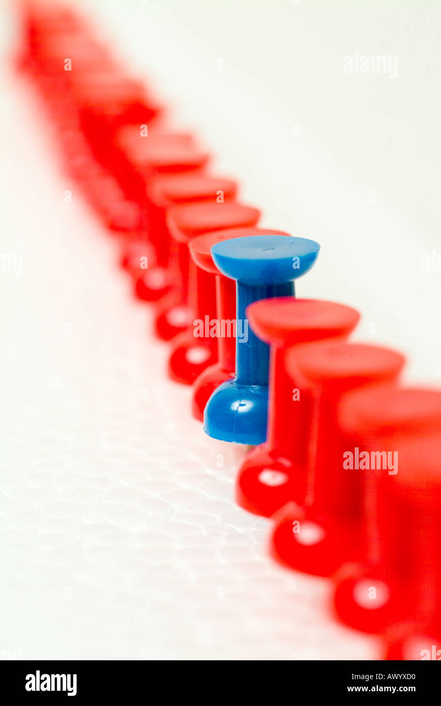Una linea rossa di spingere i perni con un pin di colore blu in piedi fuori dal resto Foto Stock