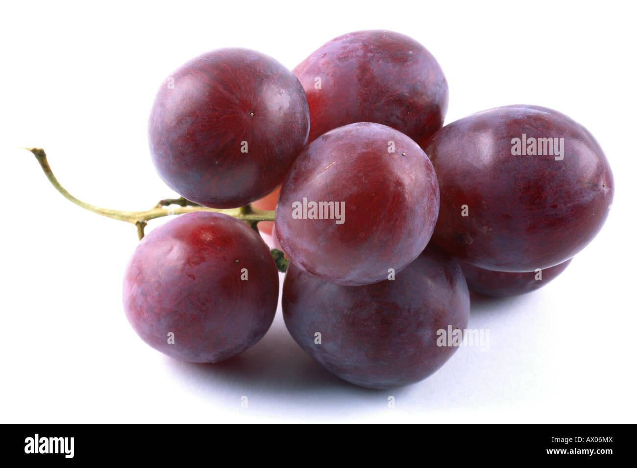 Dettaglio delle uve rosse Weintraube Trauben Foto Stock