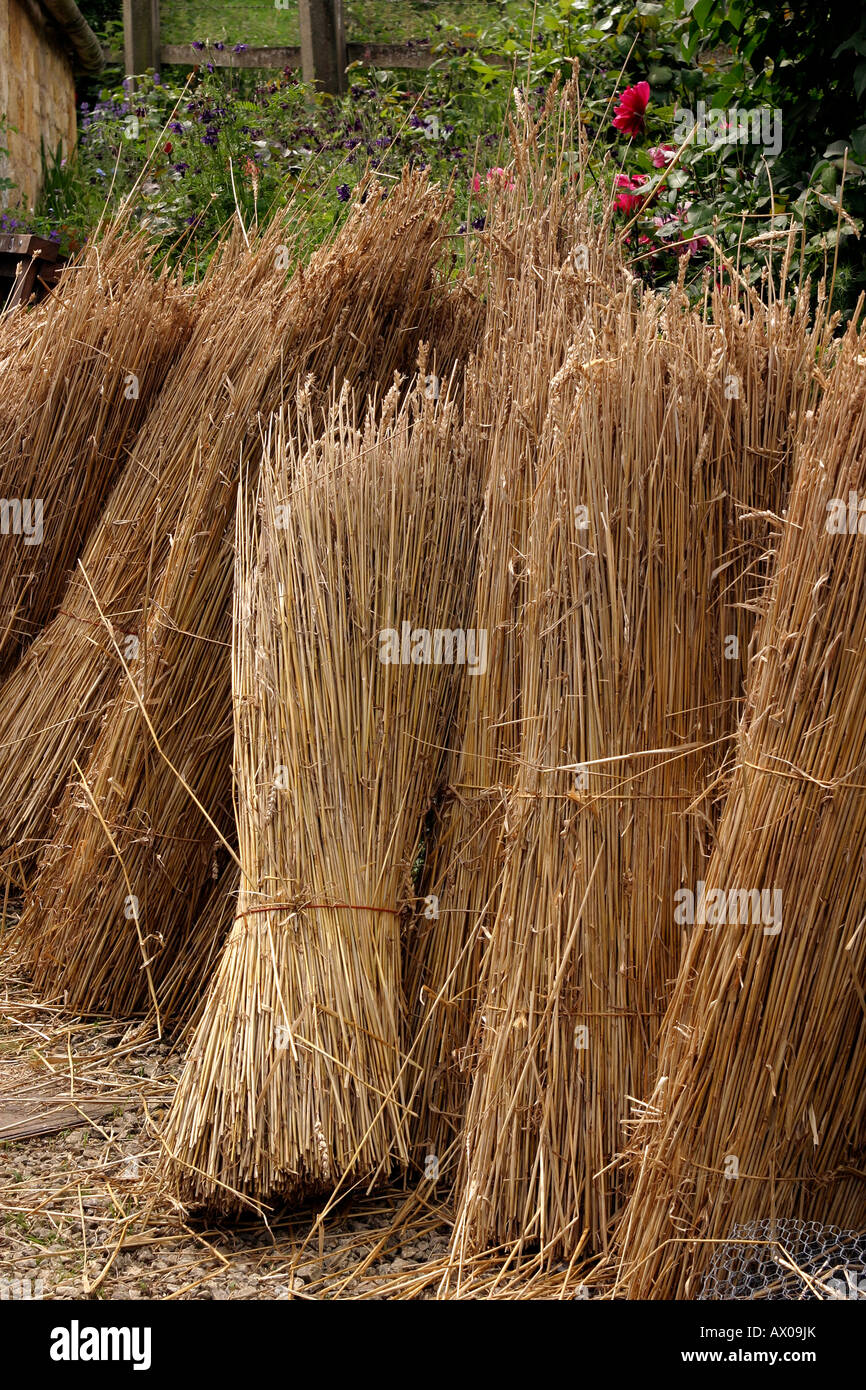 Regno Unito Worcestershire Stanton thatchers ance Foto Stock