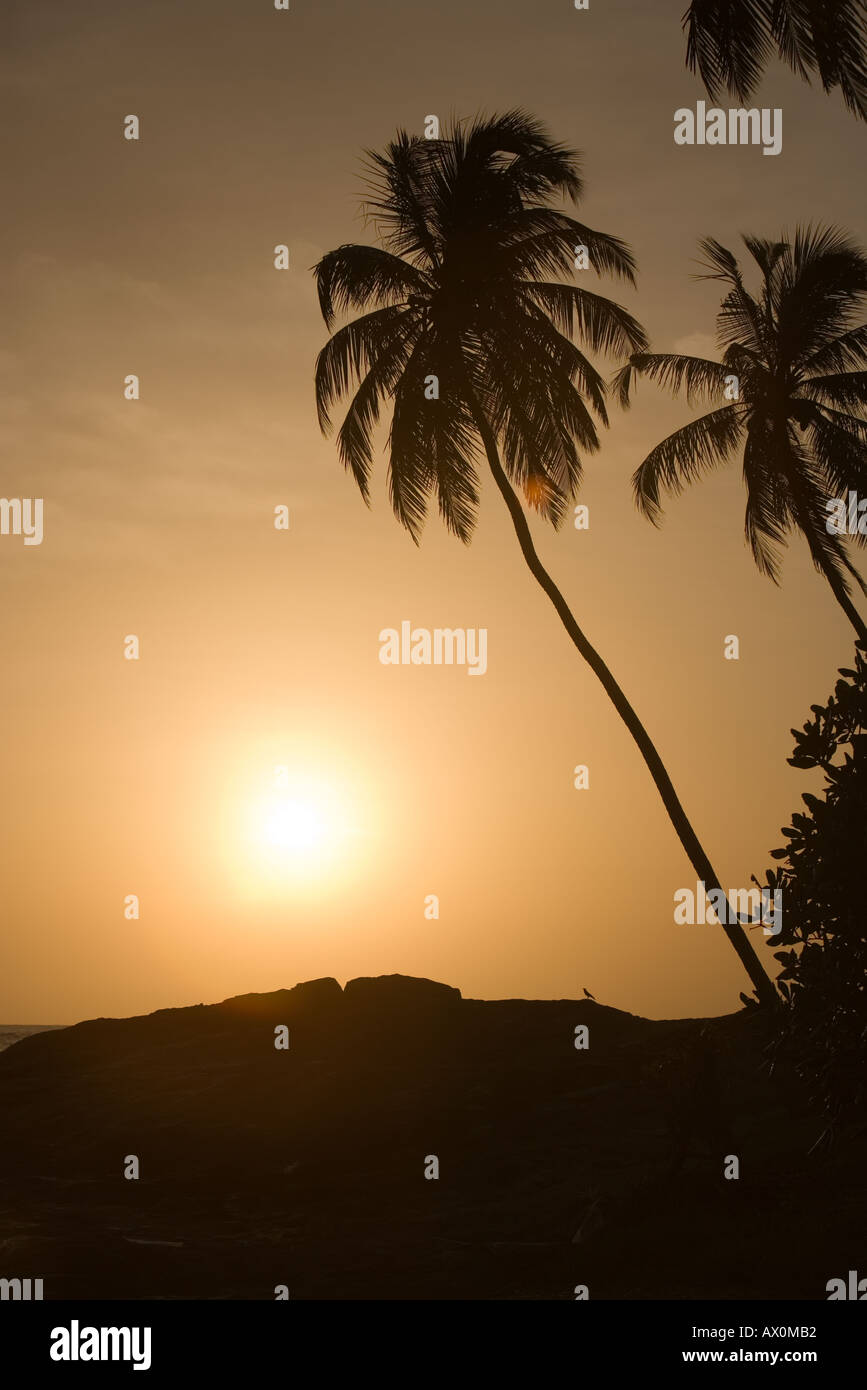 Induruwa Beach Sri Lanka Foto Stock