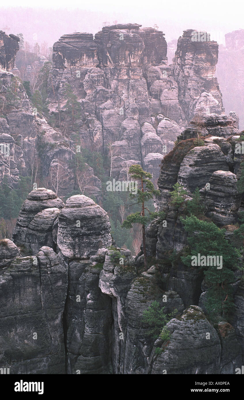 Bastei in Elba montagne di arenaria, Germania, Sassonia, Parco Nazionale Saechsische Schweiz Foto Stock