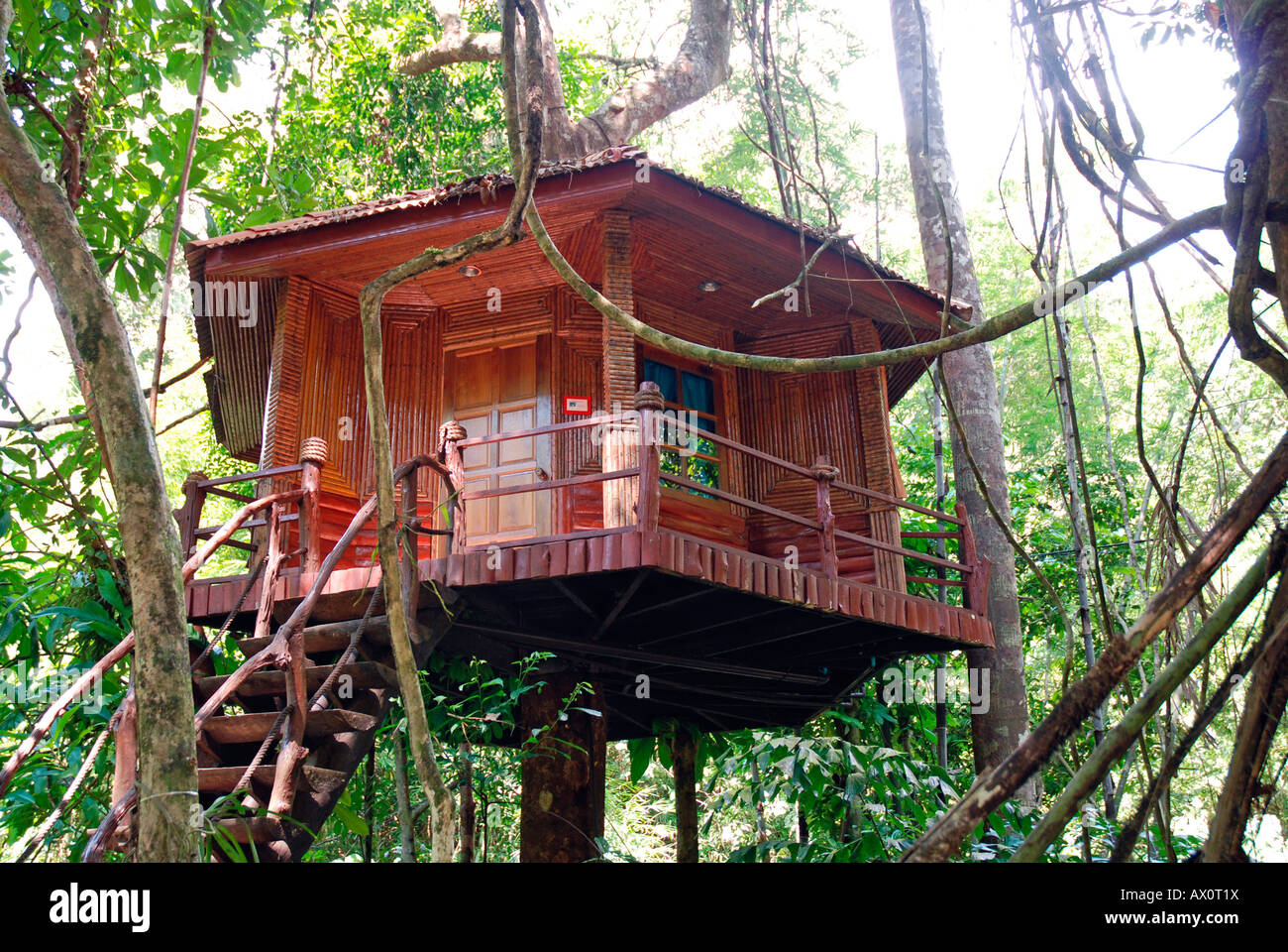 Treehouse, Khao Sok National Park, Thailandia, Sud-est asiatico, in Asia Foto Stock