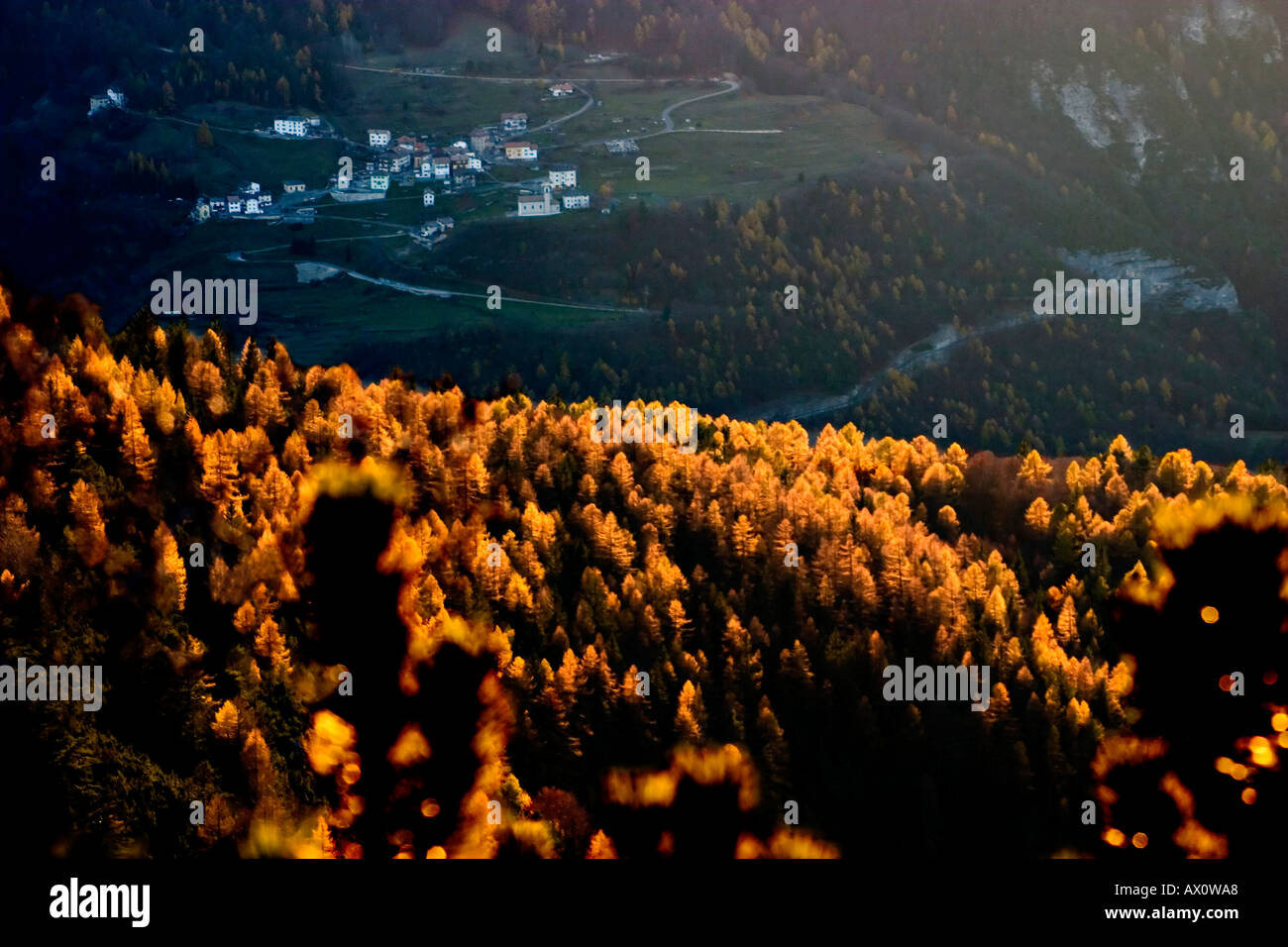 Panorama paesaggio colori dell'autunno alberi con un intenso rosso verde giallo il colore di sfondo con il piccolo paese di montagna Foto Stock
