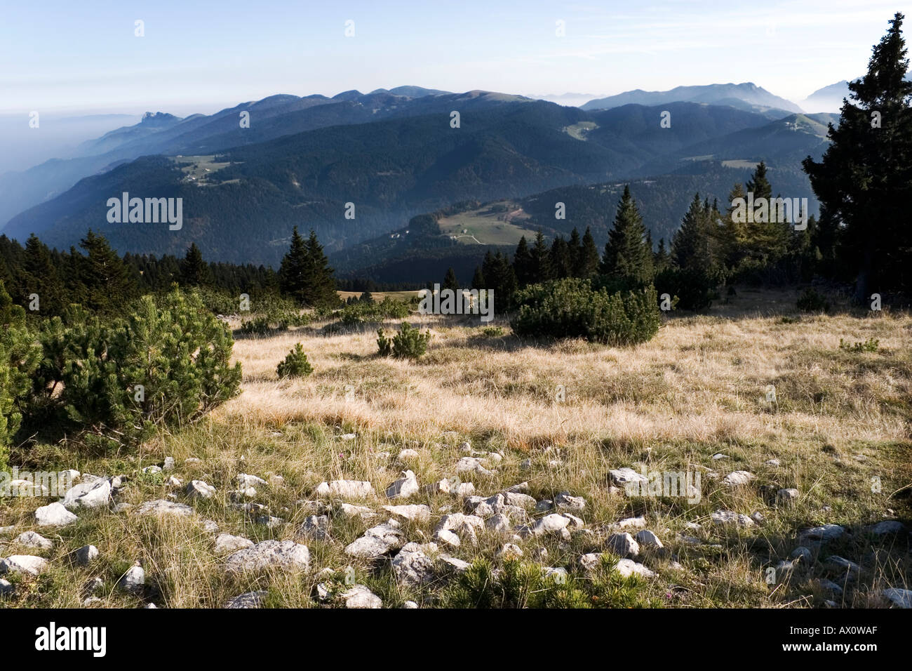 Panorama del paesaggio autunnale di alta montagna Foto Stock