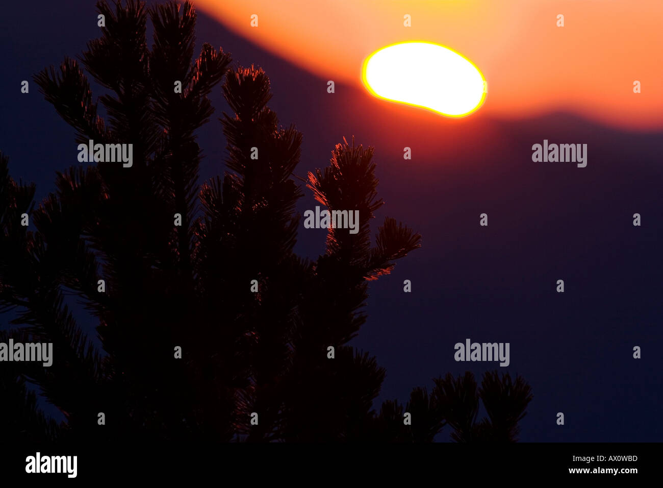Colori del panorama al tramonto con sole rosso per chiudere fino al tramonto e alberi Foto Stock