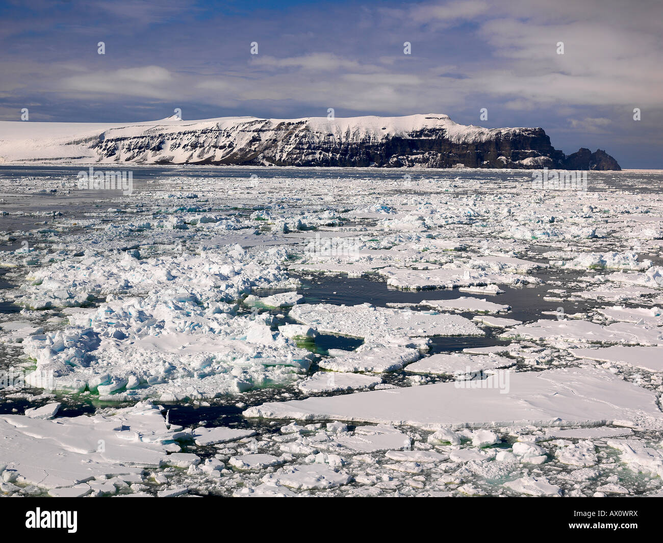 Sulla punta nord dell isola di Franklin, Antartide Foto Stock