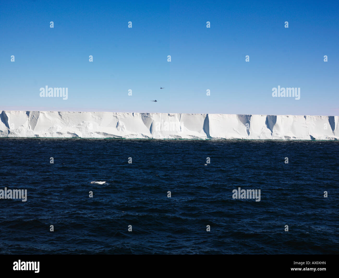 Ross Ice Shelf, edge che vanno da 40 a 80 metri (130-260 piedi) alto, con due elicotteri volare overhead, Antartide Foto Stock