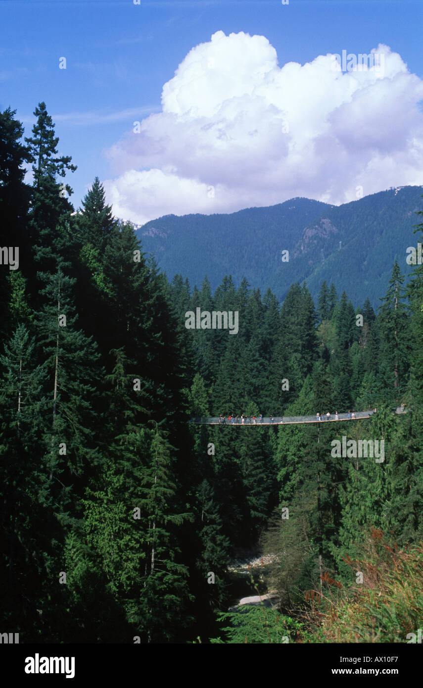 Canada British Columbia Vancouver sospensione ponte Capilano Canyon Foto Stock