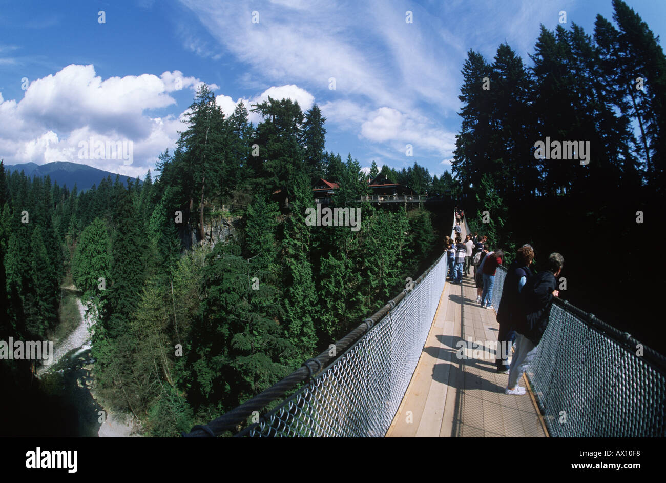 Canada British Columbia Vancouver Canyon Capilano Suspension Bridge vista sul ponte Foto Stock