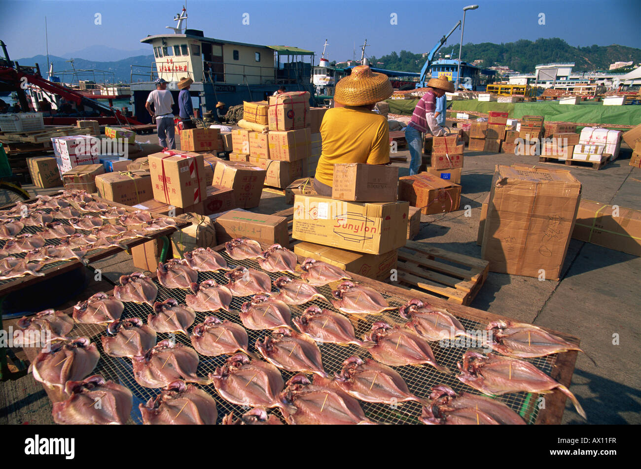 Cina, Hong Kong, Cheung Chau Island, essiccazione pesce e Waterfront attività portuali Foto Stock