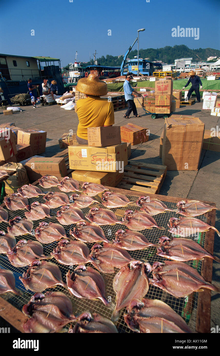 Cina, Hong Kong, Cheung Chau Island, essiccazione pesce e Waterfront attività portuali Foto Stock