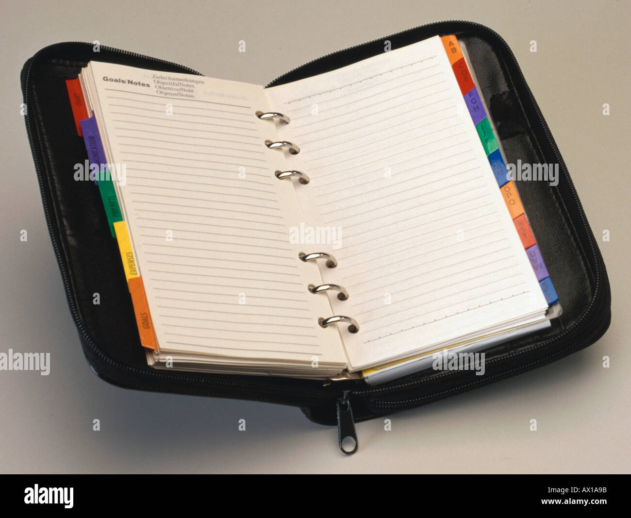 pianificatore di giorno Foto Stock