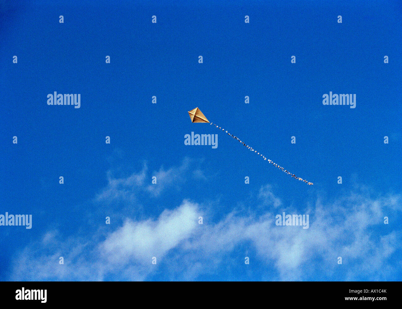 Aquilone vola nel cielo Foto Stock
