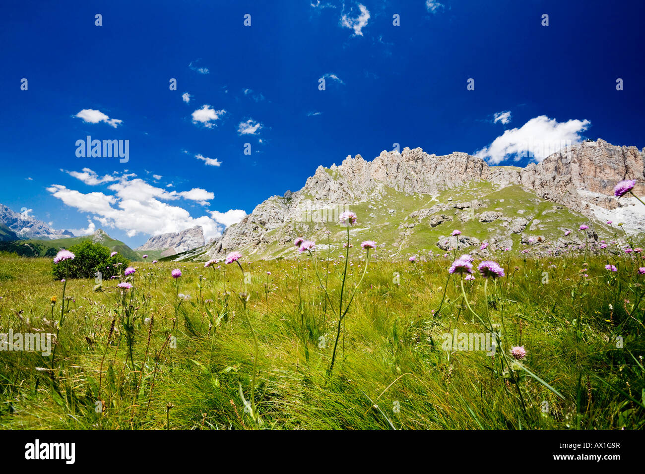 Gruppo Sella al Passo Pordoi, Alpi Dolomitiche, Dolomiti, Alto Adige, Italia, Europa Foto Stock