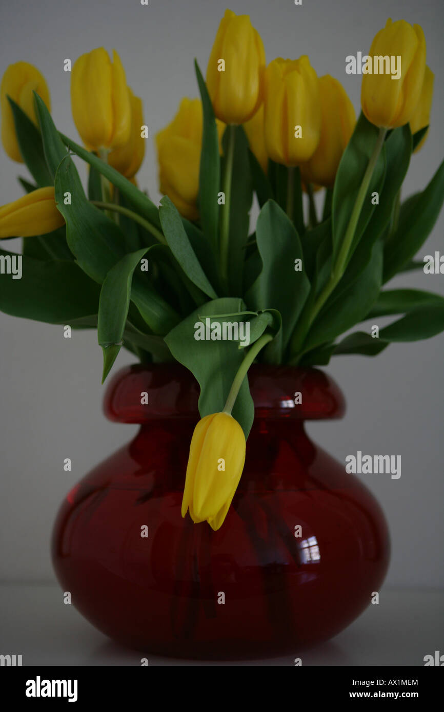 Vaso di fiori di colore giallo Foto Stock