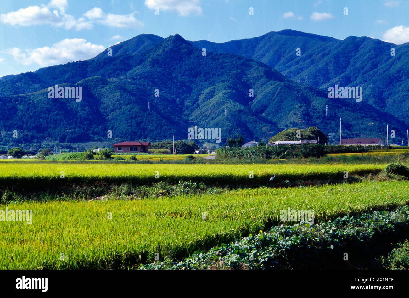 Kap'yong Corea i campi di riso e montagne Foto Stock