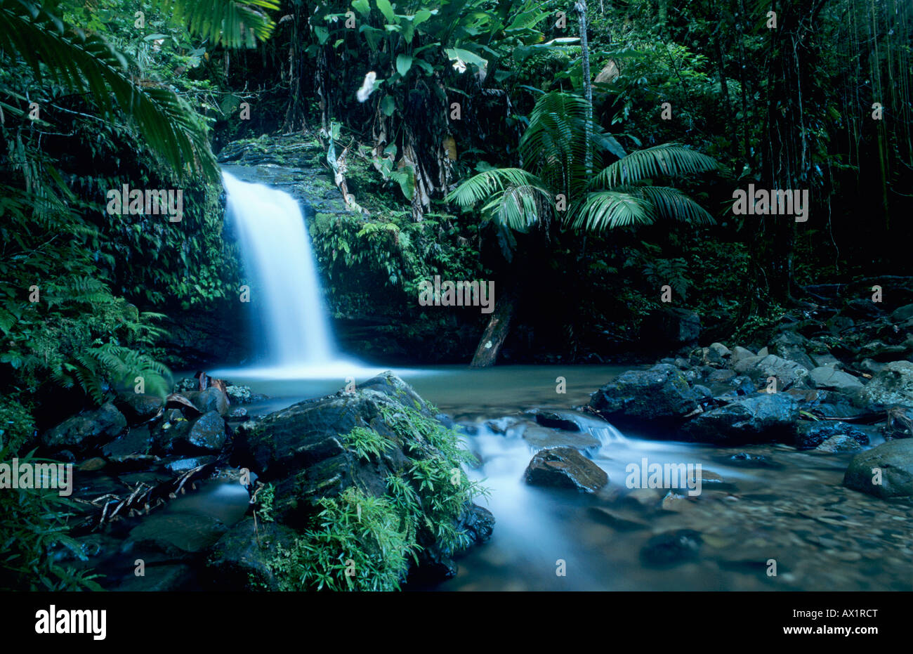 Juan Diego cascata nella Foresta Pluviale di Juan Diego Sentiero Foresta Nazionale Caraibica El Yunque Puerto Rico USA Febbraio 2003 Foto Stock