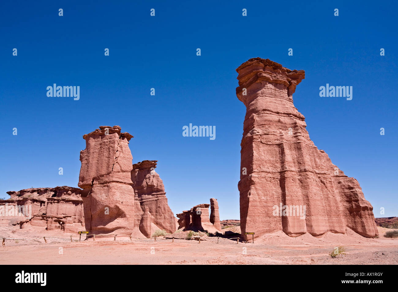 Rocce di arenaria nel parco nazionale, il Parque Nacional Talampaya, Argentina, Sud America Foto Stock