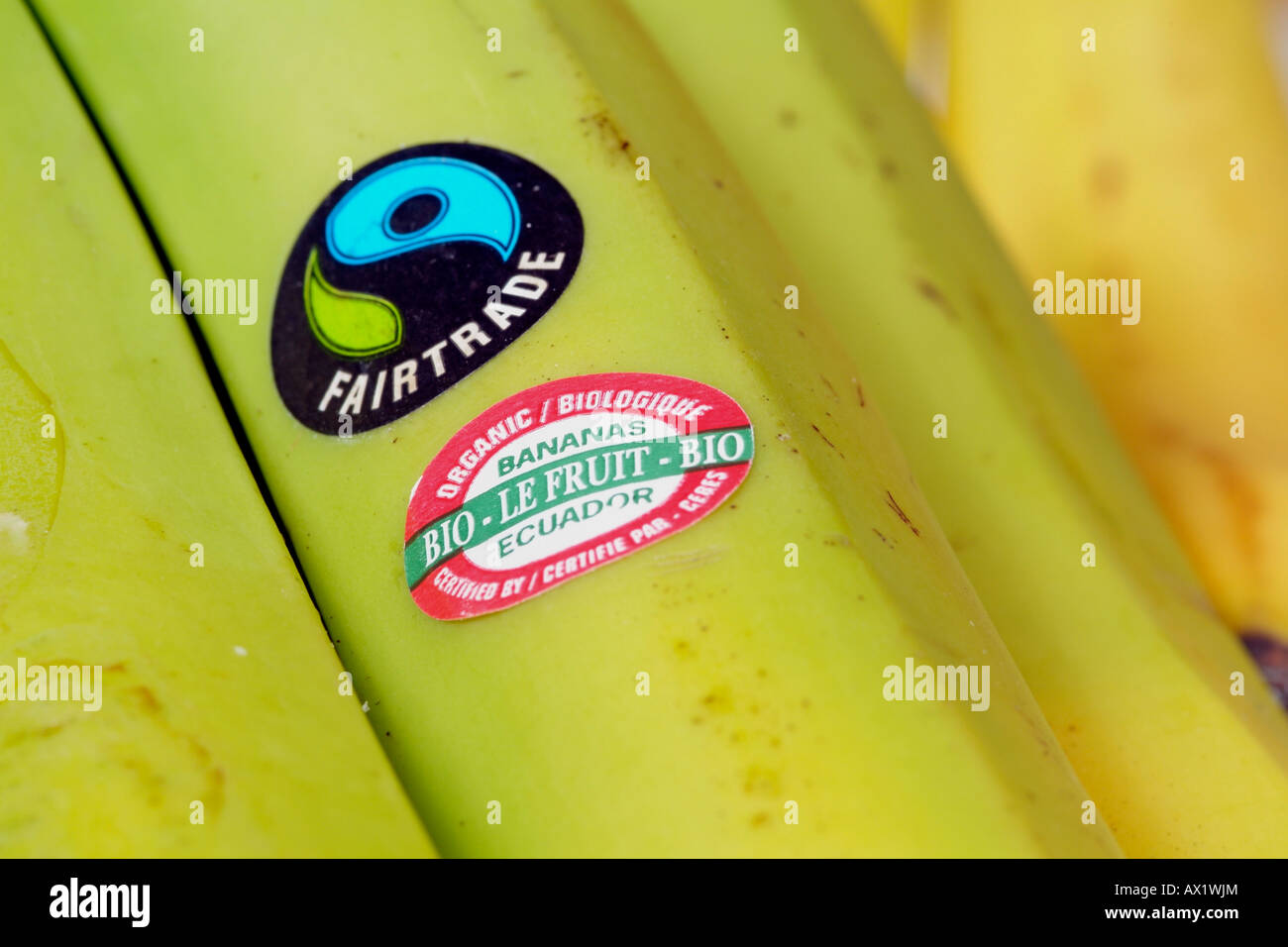 Fairtrade Banana con adesivo prodotto Fairtrade Banana organico etichetta Bio Ecuador Certificazioni Foto Stock