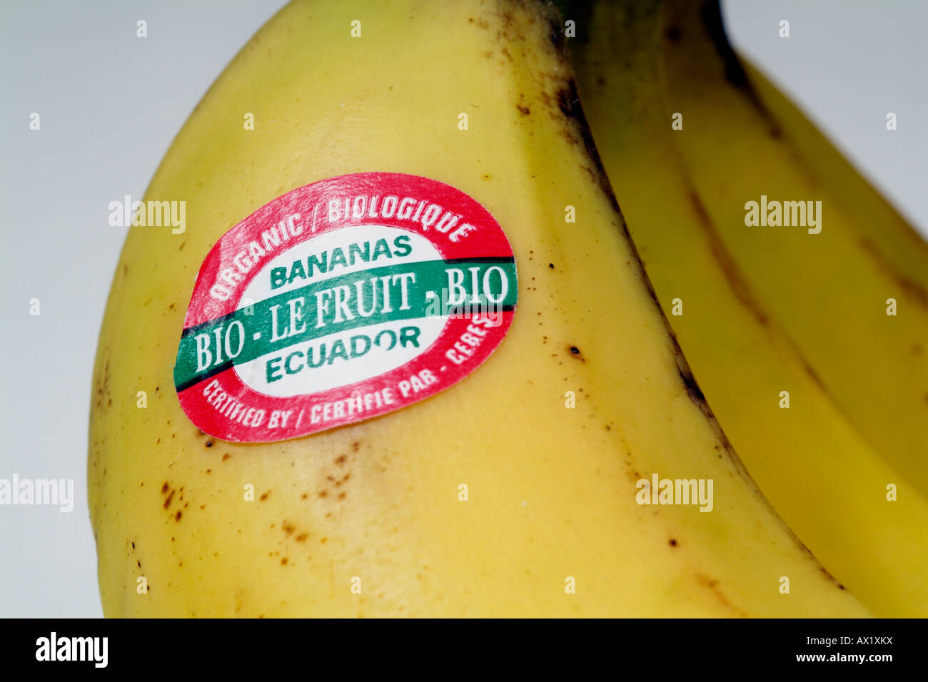 Akachafactory Adesivo in vinile con banana per auto e moto