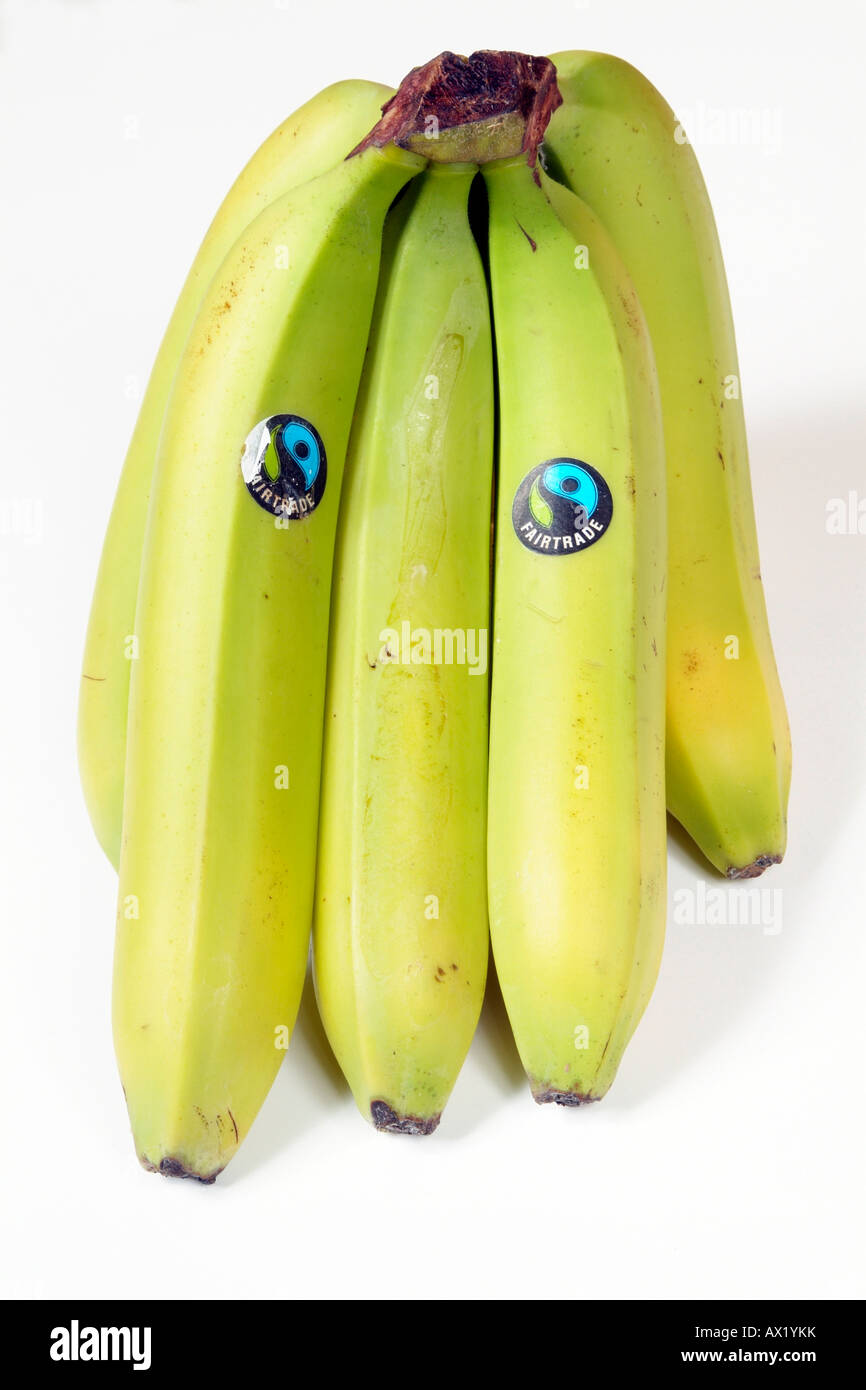 Fairtrade Banana mazzetto mano di banane con il prodotto adesivo Foto Stock